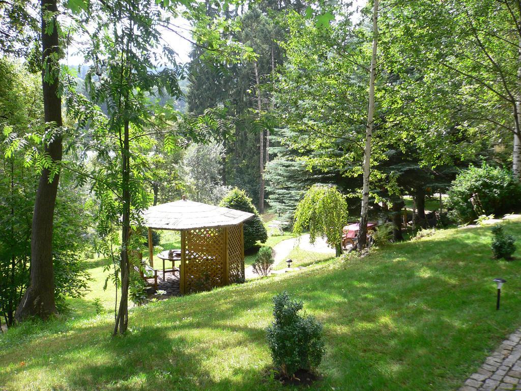 Hotel Villa Romantica Szklarska Poręba Eksteriør billede