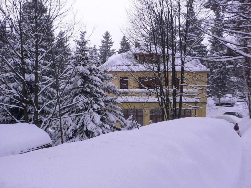 Hotel Villa Romantica Szklarska Poręba Eksteriør billede